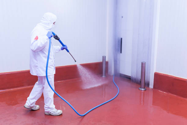 Best Dumpster Area Cleaning  in Bath, ME